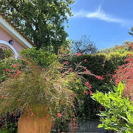 Villa Britannia-2